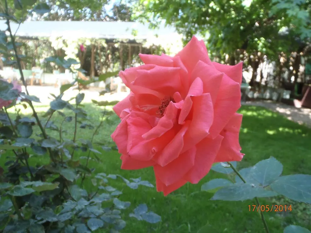 ** Bed & Breakfast Sirin Pension Fethiye Turkey