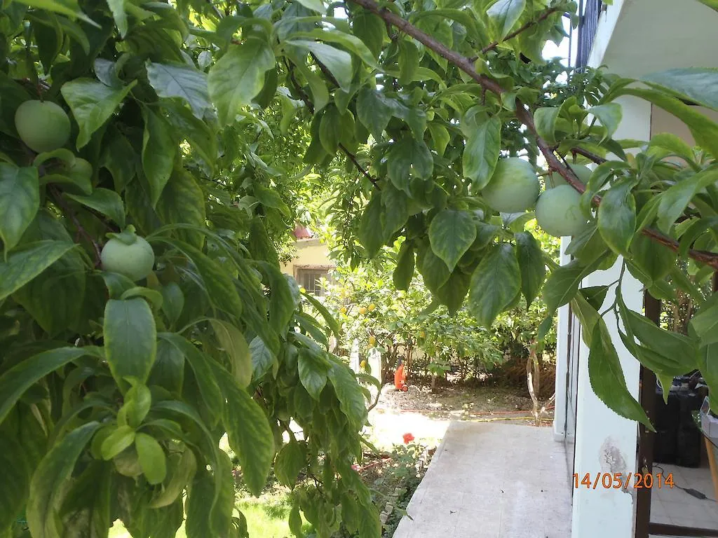Sirin Pension Fethiye Bed & Breakfast